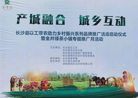 好喝更好看！湘豐茶業(yè)閃耀慧潤(rùn)盈商小鎮(zhèn)“金井鎮(zhèn)專(zhuān)題推廣月活動(dòng)”