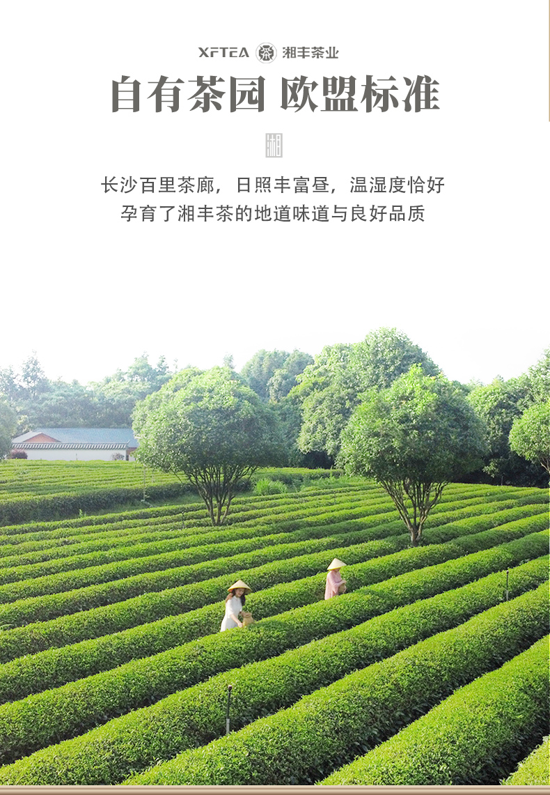 為人民服務(wù)50毛尖茶詳情頁(yè)_03.jpg