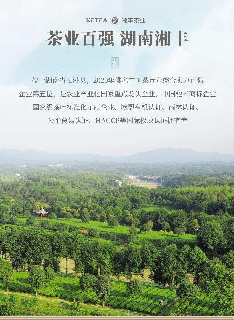 為人民服務(wù)50毛尖茶詳情頁(yè)_07.jpg