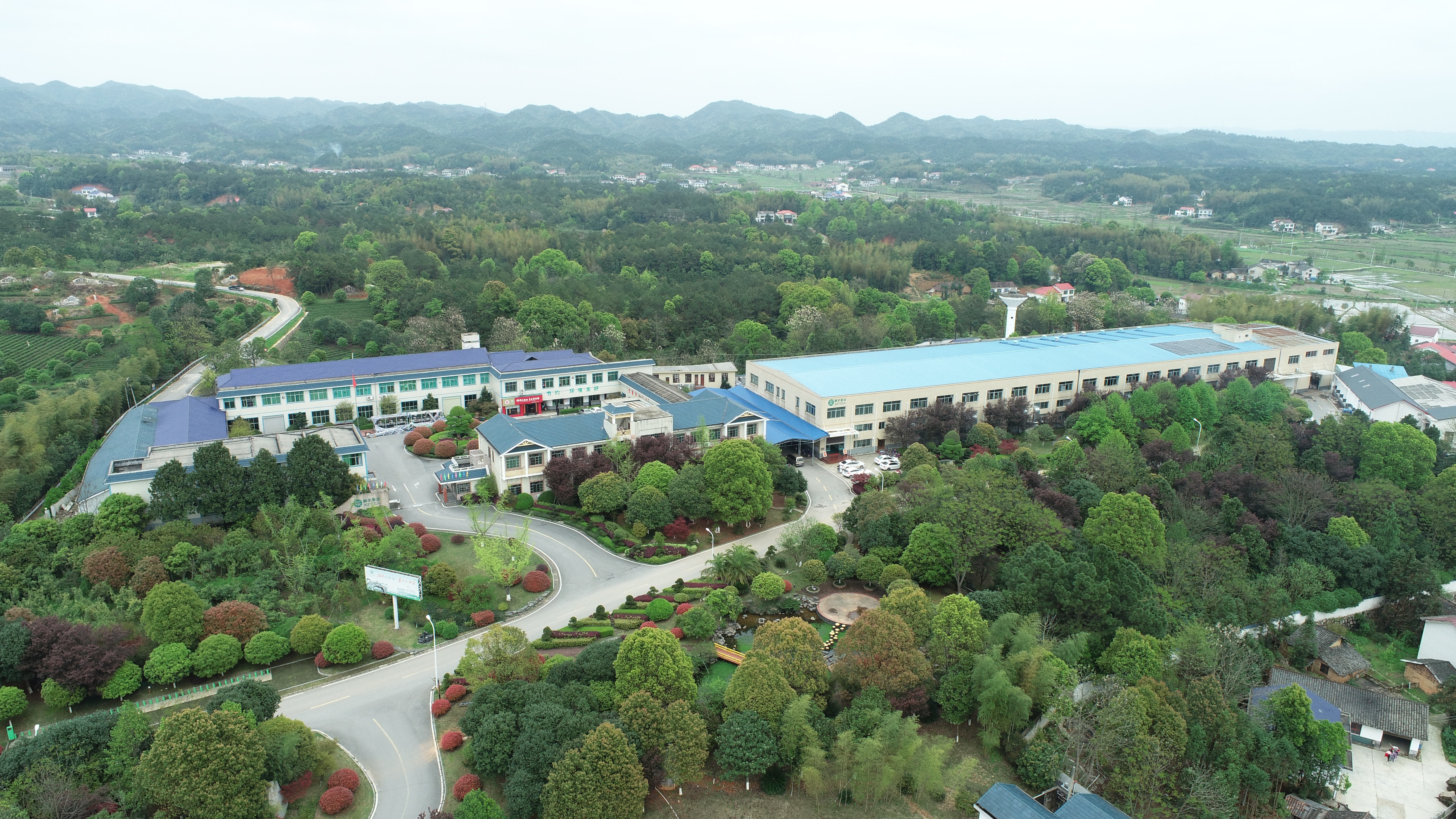 湘豐茶業集團-花園式廠區.JPG