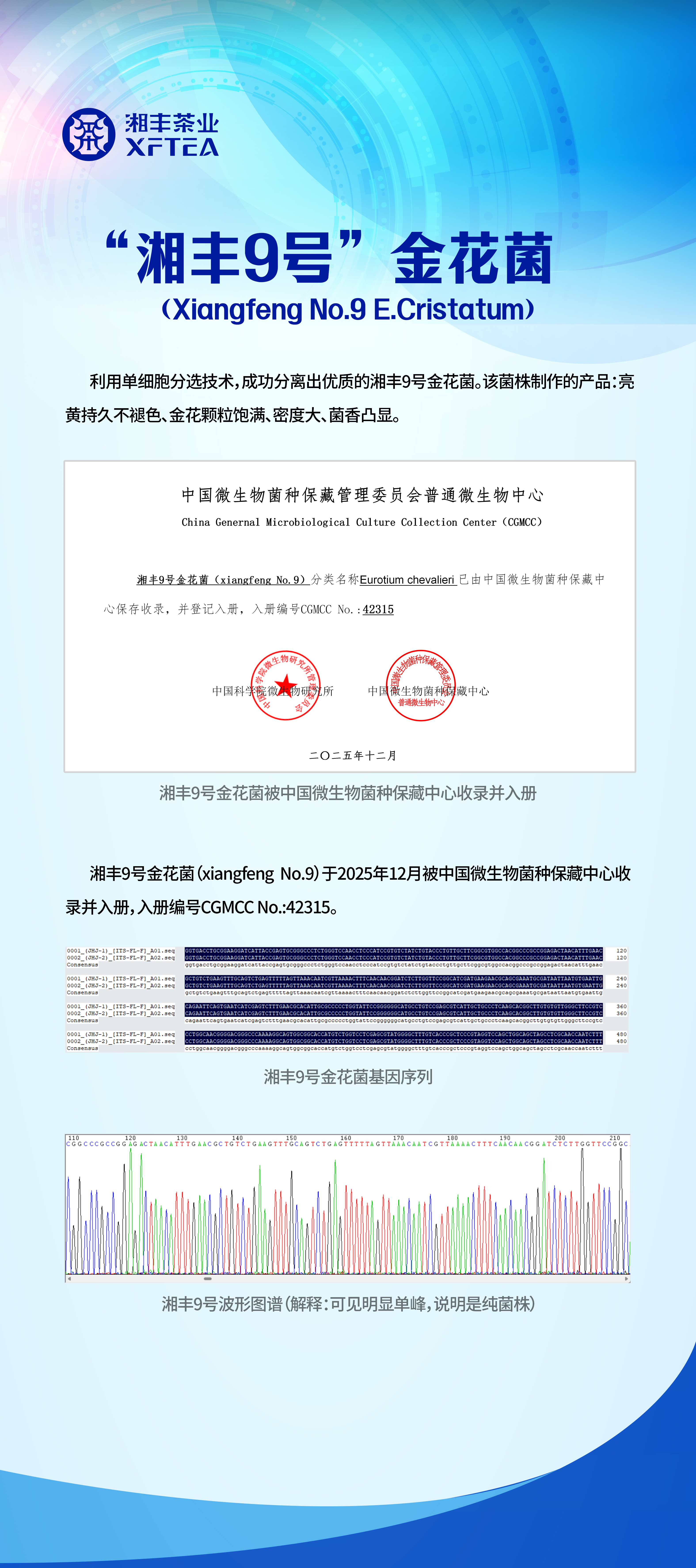 湘豐9號展架.jpg 湘豐9號展架.jpg