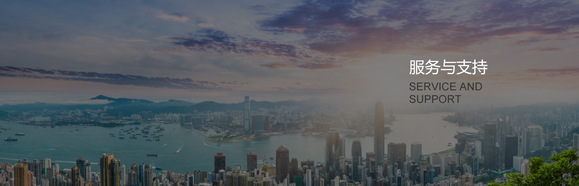 服務(wù)與支持